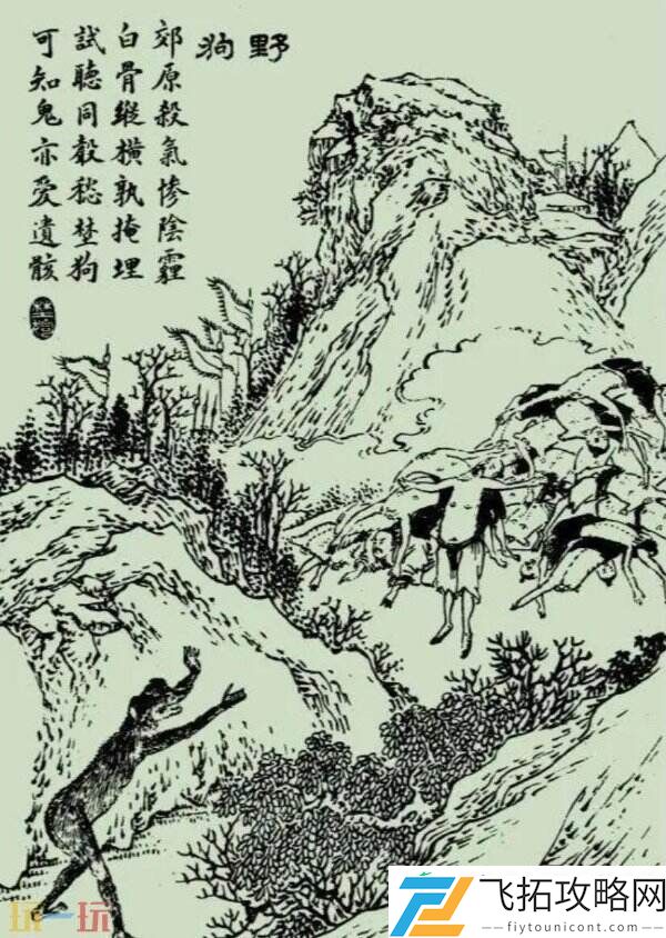 野狗子评测