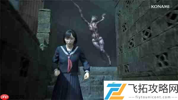 支持中文