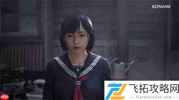 支持中文