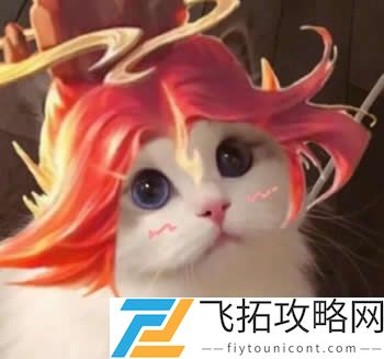 王者荣耀猫头像图片大全最新