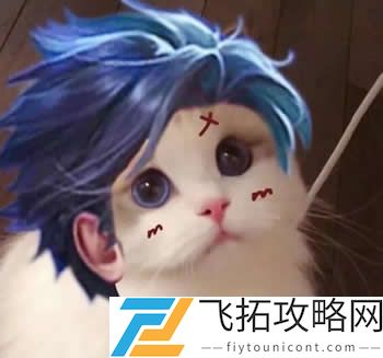 王者荣耀猫头像图片大全最新