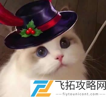 王者荣耀猫头像图片大全最新