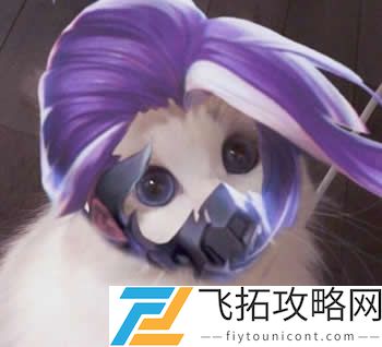 王者荣耀猫头像图片大全最新