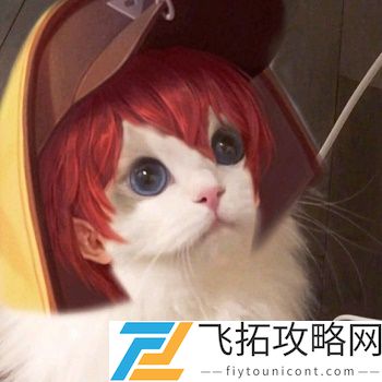 王者荣耀猫头像图片大全最新
