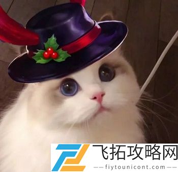 王者荣耀猫头像图片大全最新
