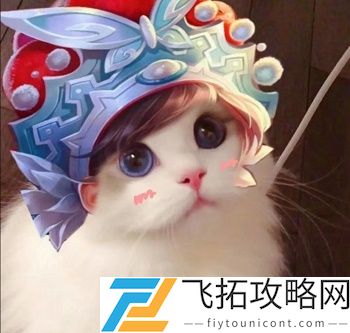 王者荣耀猫头像图片大全最新