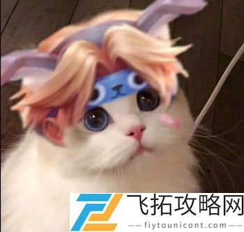 王者荣耀猫头像图片大全最新