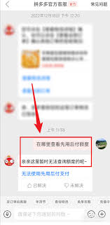 拼多多先用后付额度在哪里看