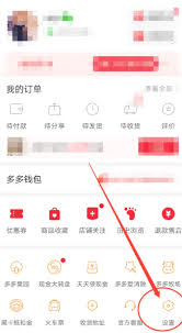 拼多多先用后付额度在哪里看
