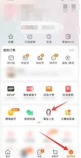 淘宝消费总额查看方式