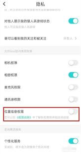 soul定位权限关闭操作技巧