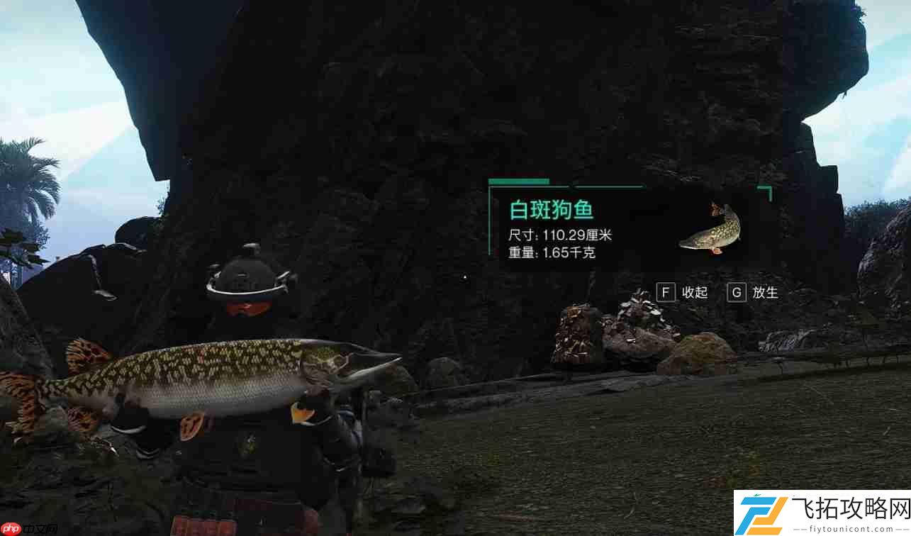 七日世界霜之白斑狗鱼获取攻略