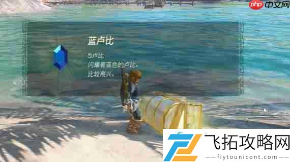 爸爸的蓝色衬衫位置一览