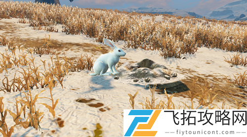 明日之后白兔怎么抓哪里多
