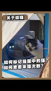 街猫app开启评论的方法