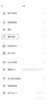 soul辅助聊天使用方法介绍