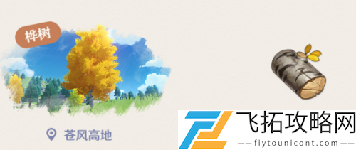 原神桦木哪里多