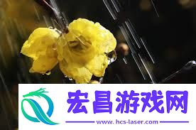 梅雨的梅指的是什么意思