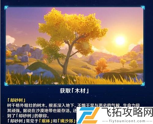 原神却砂木哪里多