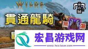 游戏玩法攻略与重弩配装分享