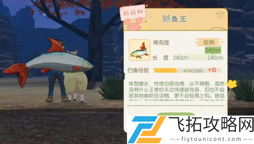 小森生活鳡鱼王几点刷新位置在哪钓