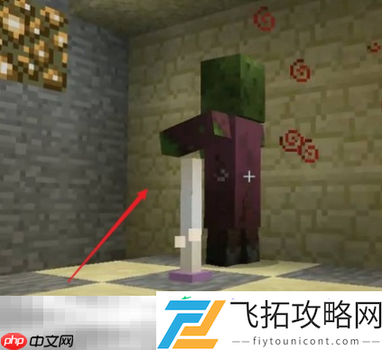 僵尸恢复成村民方法介绍