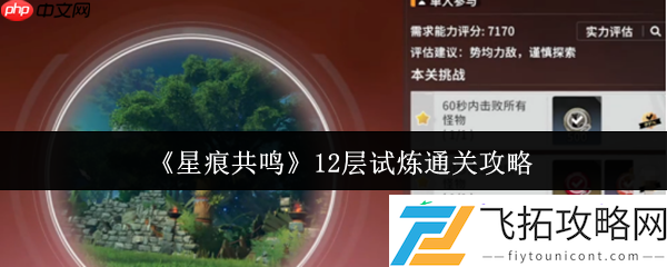 星痕共鸣12层试炼终极突破