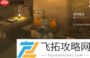 铠甲南瓜位置一览