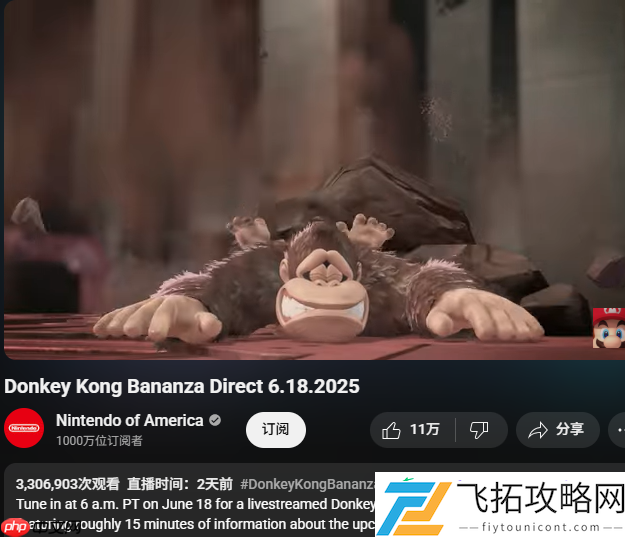 咚奇刚
