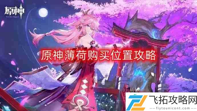 薄荷购买位置攻略