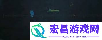 怪物猎人荒野玻璃异形鱼垂钓攻略