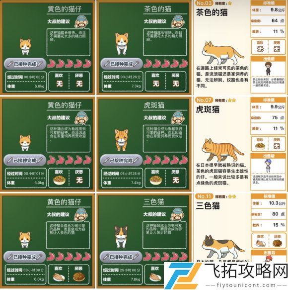 猫猫咖啡屋怎么喂猫粮