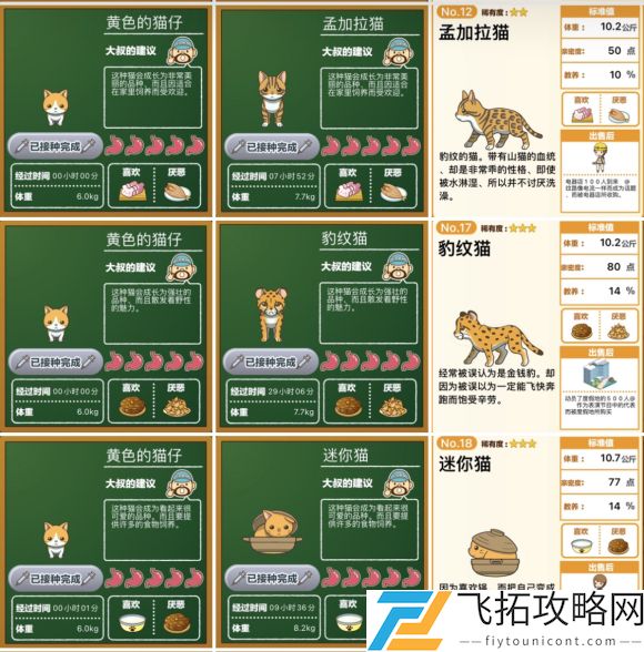 猫猫咖啡屋怎么喂猫粮