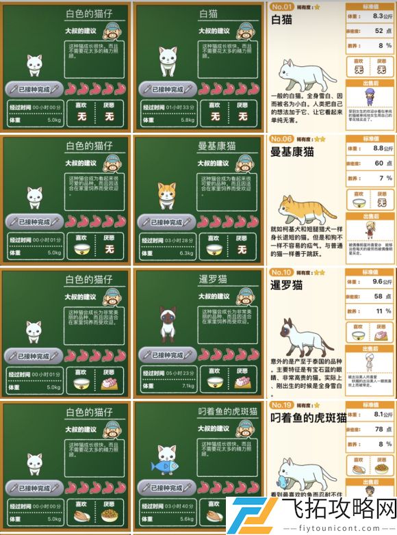 猫猫咖啡屋流浪猫喜欢吃什么食物