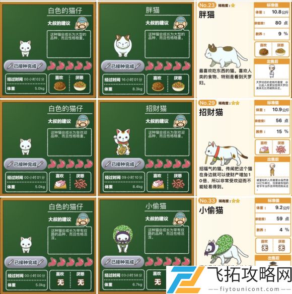 猫猫咖啡屋流浪猫喜欢吃什么食物