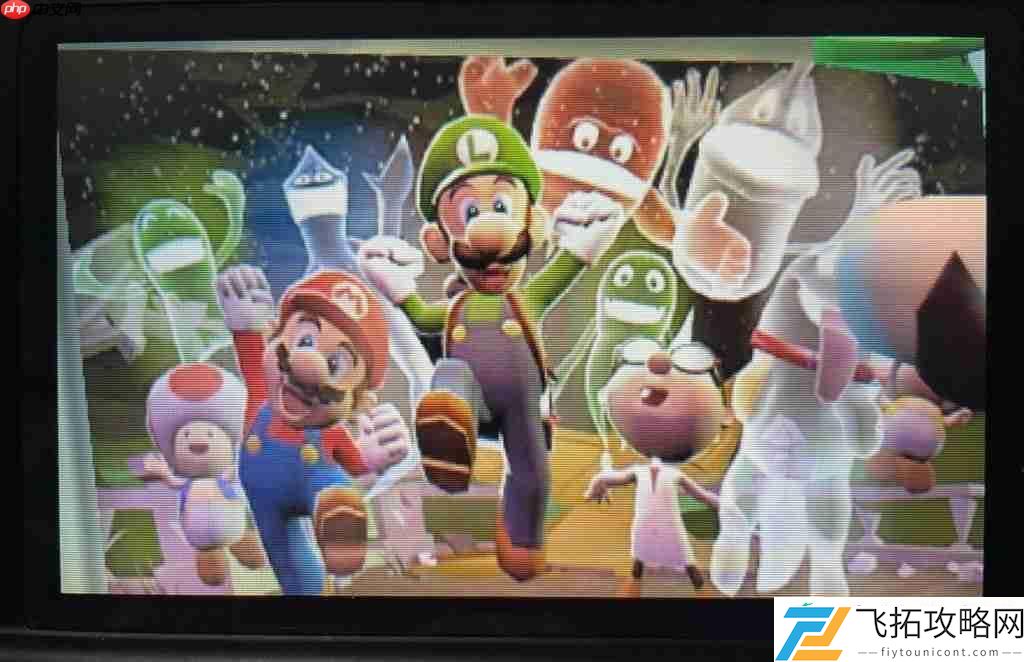 路易吉洋馆4Switch2版传闻再起！爆料人称表现惊艳