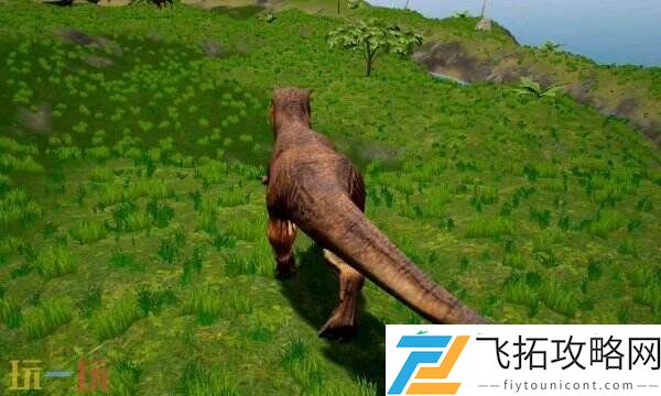 三步学会的代氪教程包成功