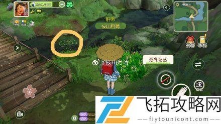 小森生活鲢鱼哪里概率高