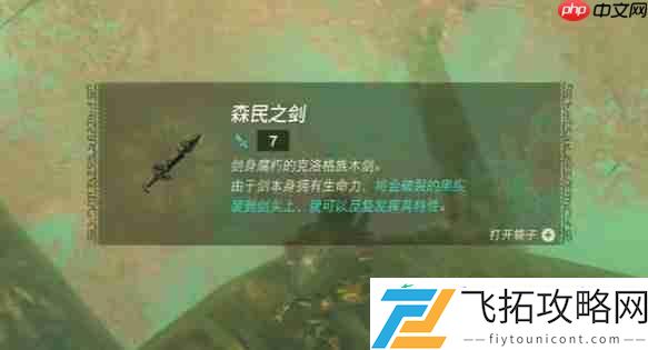 纳末敏的寻宝游戏任务攻略
