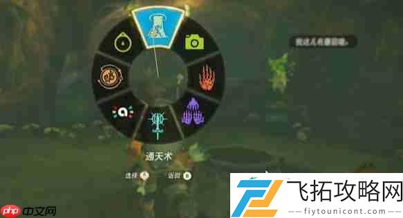 纳末敏的寻宝游戏任务攻略