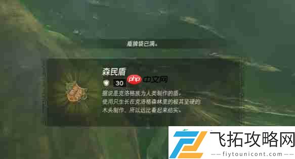 纳末敏的寻宝游戏任务攻略