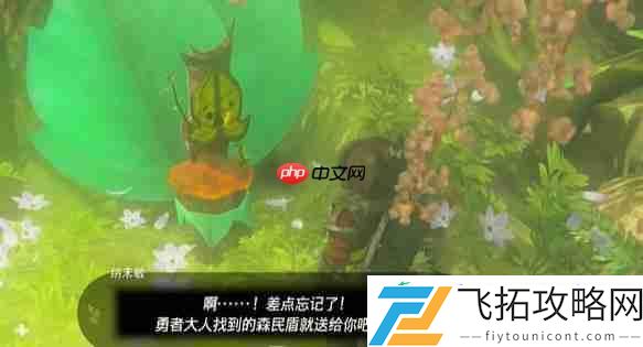 纳末敏的寻宝游戏任务攻略