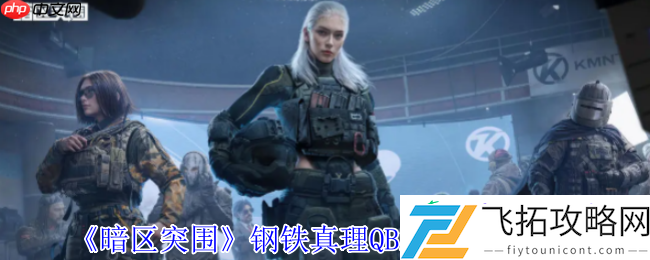 熔岩烙印的战术艺术品