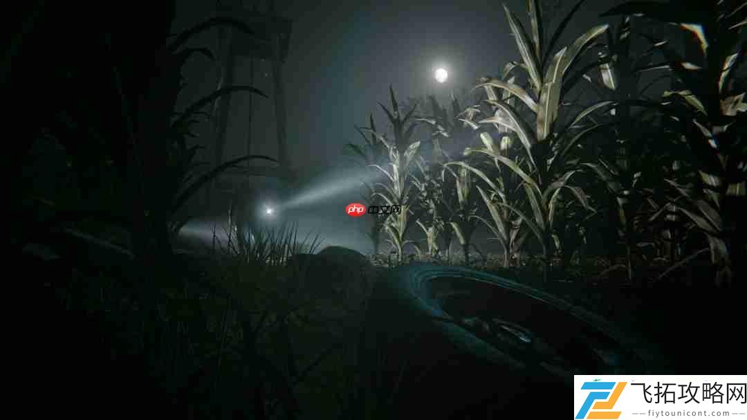 第一人称恐怖游戏逃生2Steam新史低