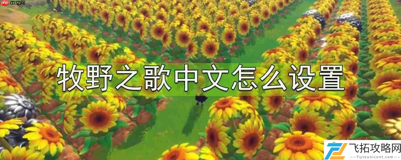 中文设置方法分享