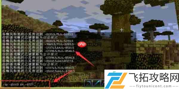 我的世界传送到指定坐标方法攻略