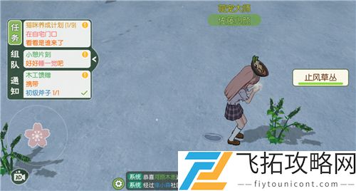 小森生活止风草位置在哪里刷新时间