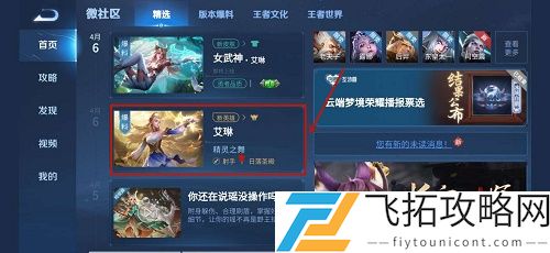 王者荣耀艾琳同阵营的英雄都有谁