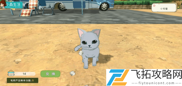 小森生活猫咪选美时间怎么参加