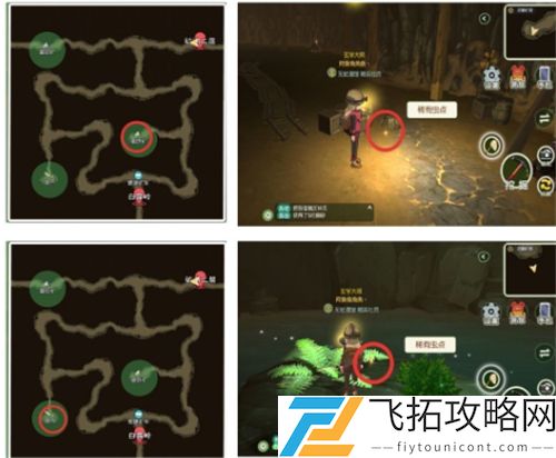 小森生活稀有虫点位置在哪